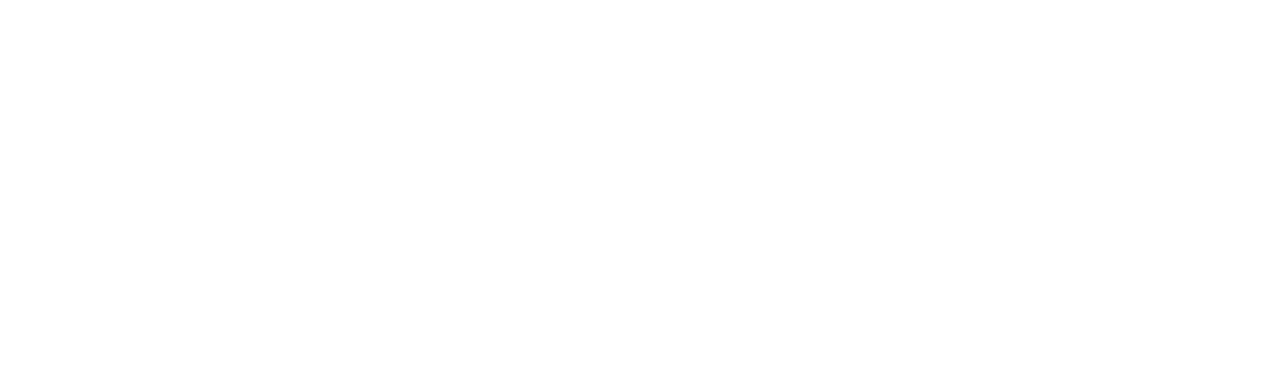 LOGO_FREELAN_WHITE